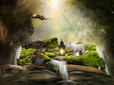 【親子書單】踏進森林大學園